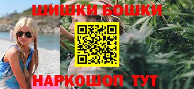 сатива Моздок